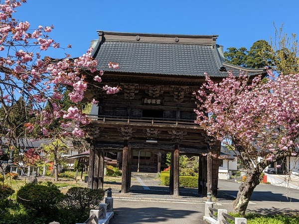 PXL_20230427_051108337