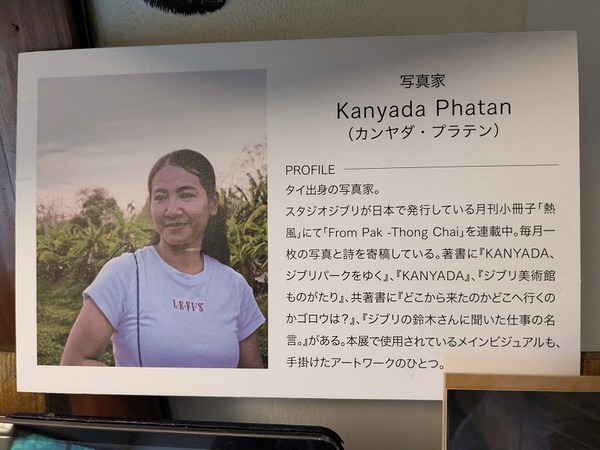 PXL_20250620_233048730