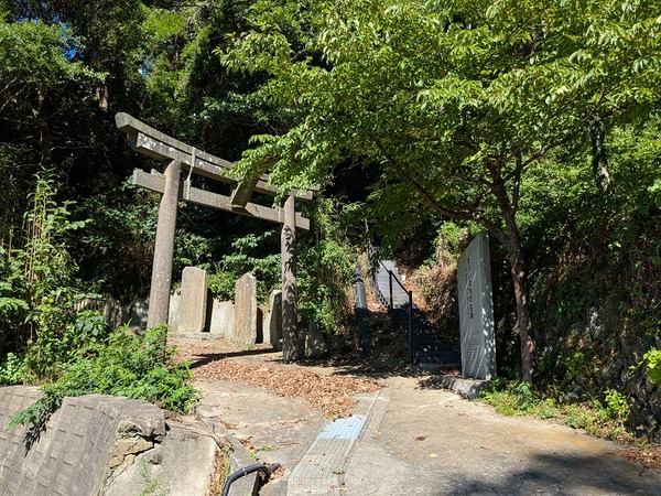 PXL_20250808_234041502