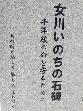 PXL_20250808_231322801