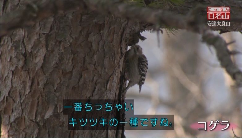 イメージ 8
