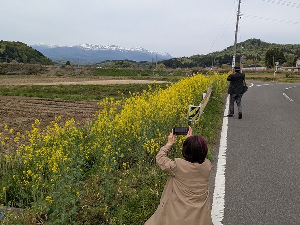 PXL_20250428_000117902