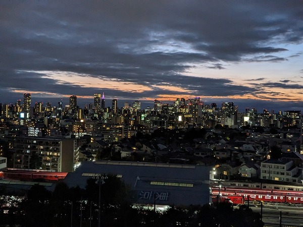 PXL_20231125_080218171