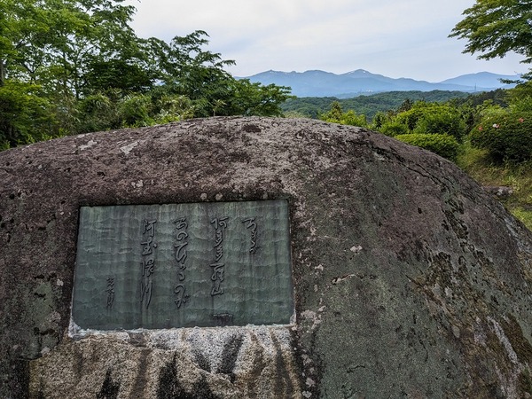 PXL_20240519_032824685