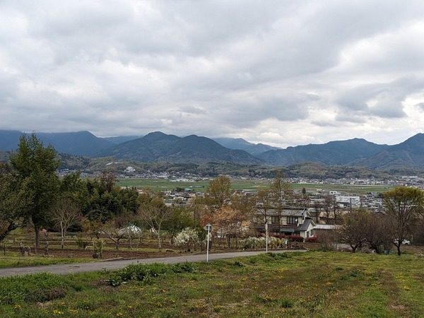 PXL_20240422_005838715