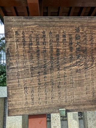 PXL_20221110_044646487