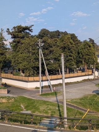 PXL_20250426_074431135