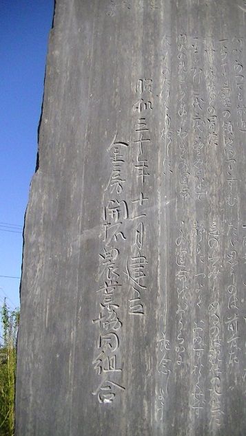 イメージ 11