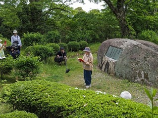 PXL_20240519_033841336