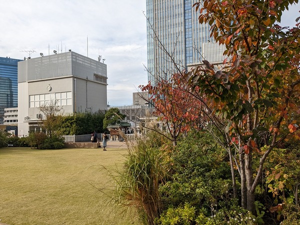 PXL_20221110_044541743