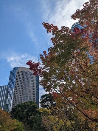 PXL_20221106_012040985