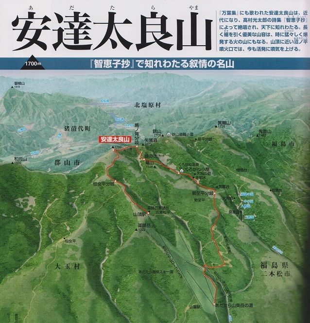 イメージ 5