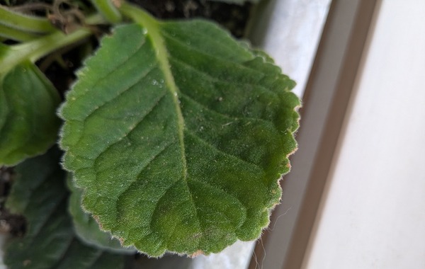 PXL_20251029_225156918