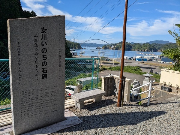 PXL_20250808_231312241