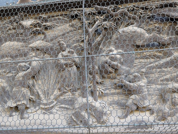 PXL_20231130_043326674