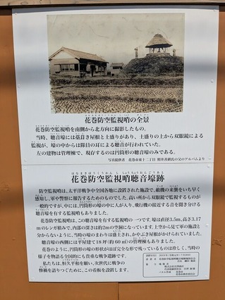 PXL_20250722_043047596