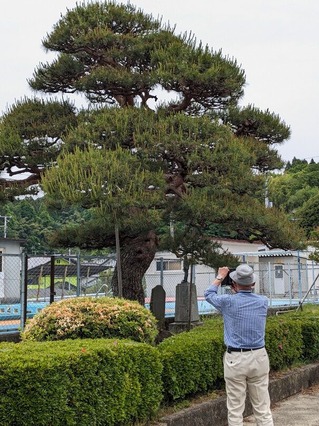 PXL_20240519_013318717