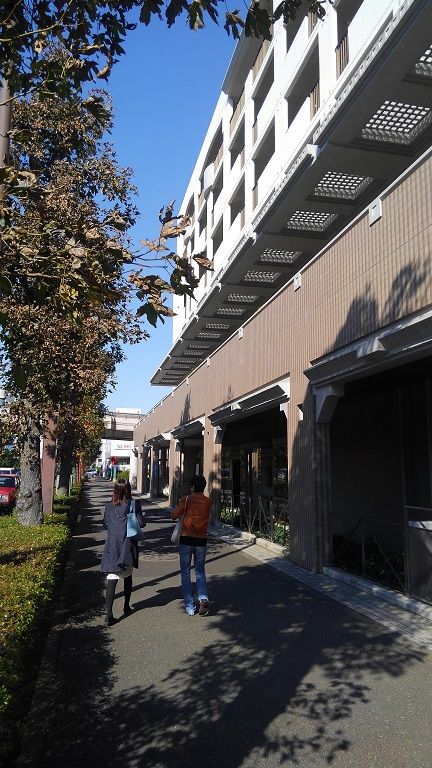 イメージ 8