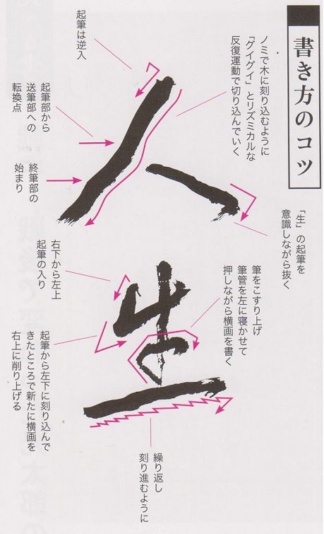 イメージ 5