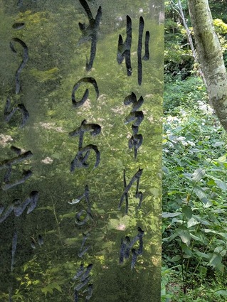 PXL_20250723_034341364.MP