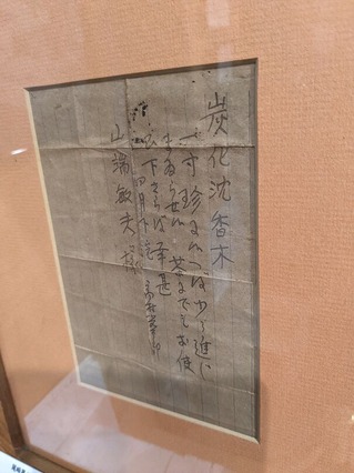 PXL_20221016_054557041