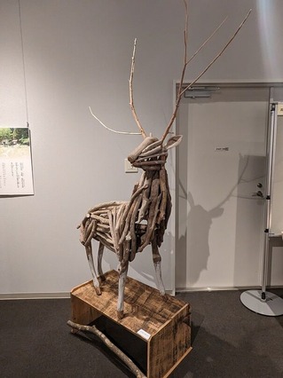 PXL_20230427_060211608