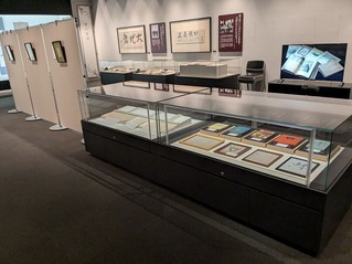 PXL_20251106_042425804