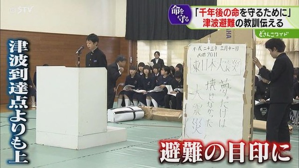 20260314-09915398-stv-006-1-view