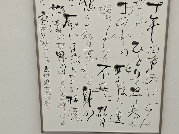 PXL_20230219_013045497