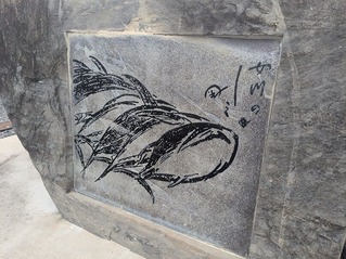PXL_20260808_220206530