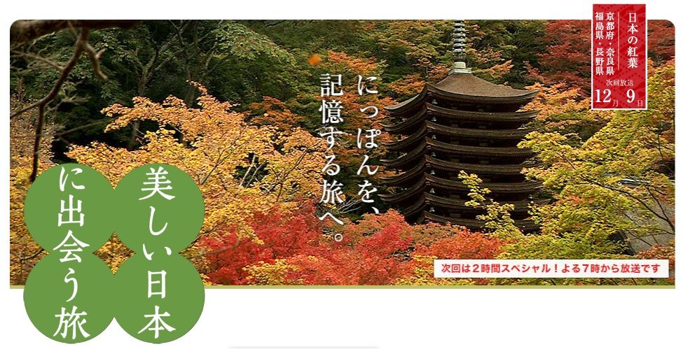 イメージ 12