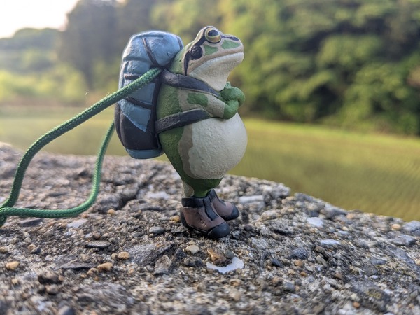 PXL_20250503_205610008