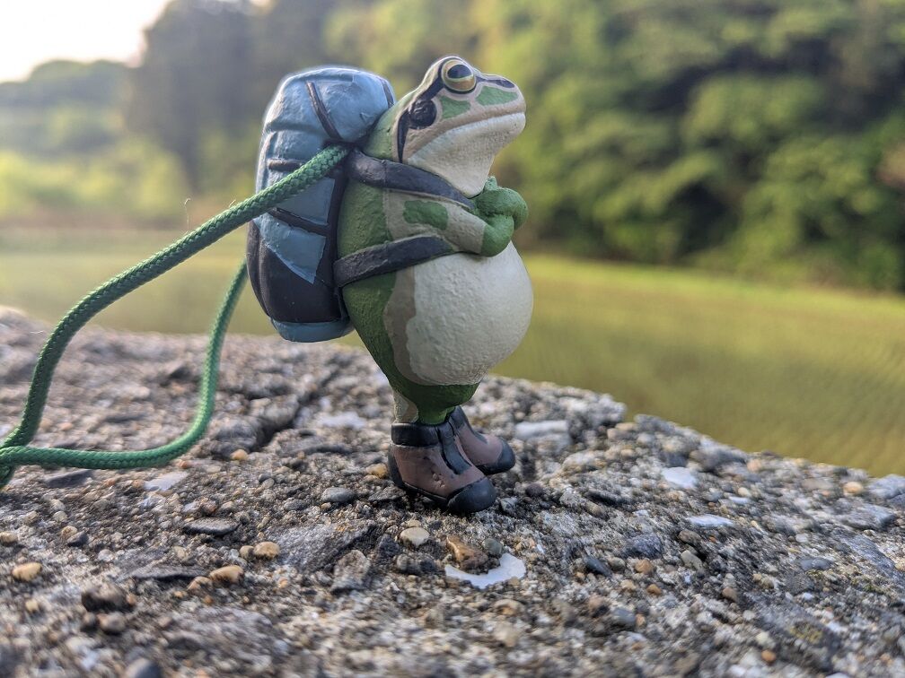 カエルとカッパ カエルの森工房 無事カエルストラップ ～アースカラー～。 : 高村