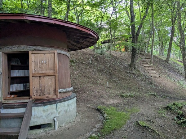 PXL_20250712_050700399