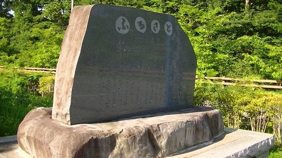 イメージ 6