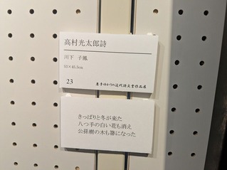 PXL_20260221_050319166