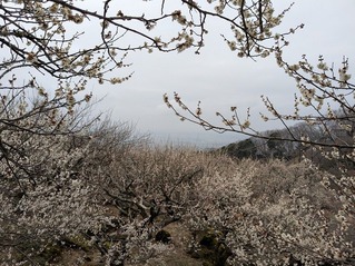 PXL_20250312_020119625