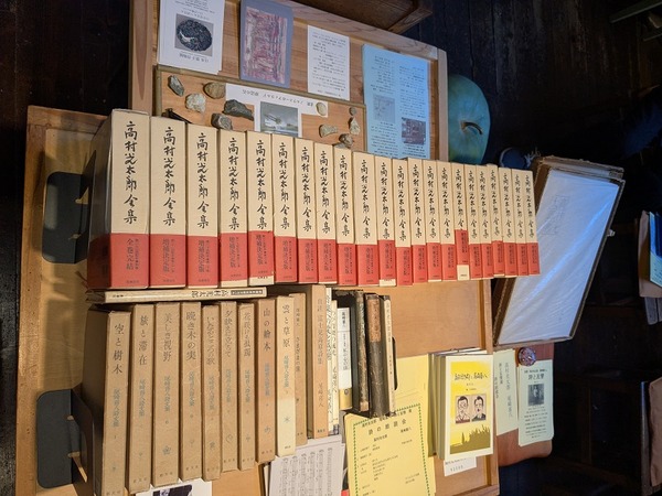 PXL_20251115_053907873