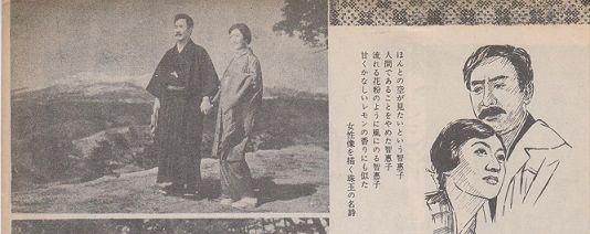 イメージ 12