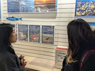 PXL_20260130_051147354.MP