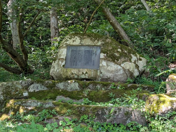 PXL_20250723_034232823.MP