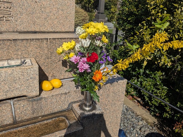 PXL_20260402_053121901