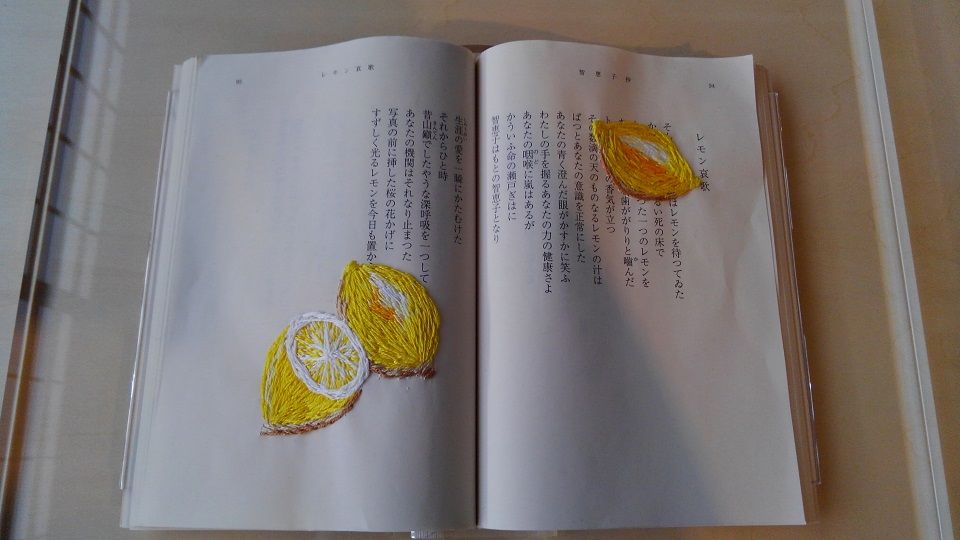 イメージ 15