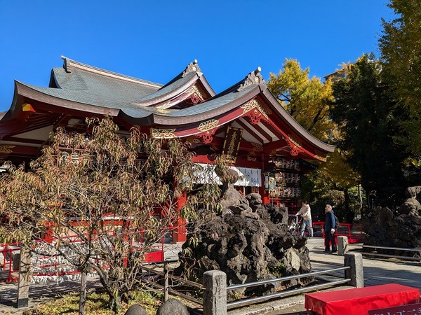 PXL_20241123_015856345.MP