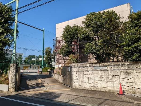 PXL_20221103_010223554