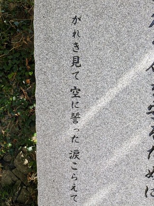 PXL_20250808_234102022