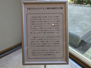 PXL_20261010_040033498