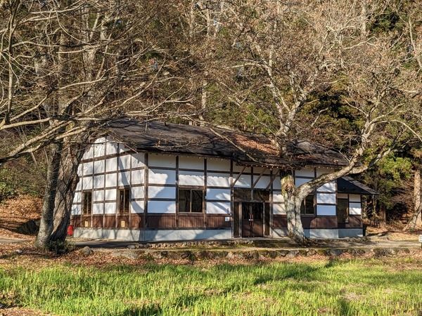 PXL_20221203_040914176