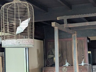 PXL_20251107_031244255