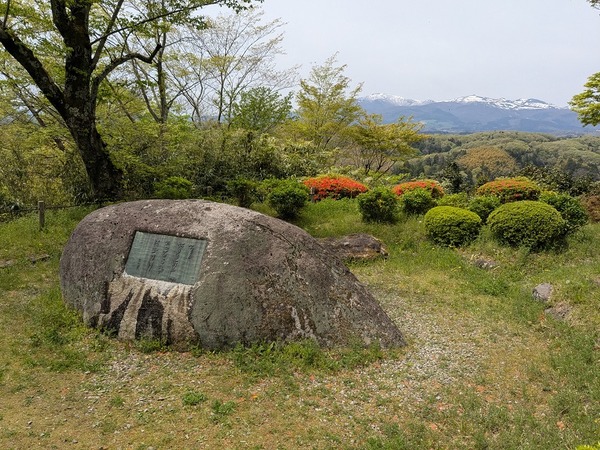 PXL_20250428_022902438